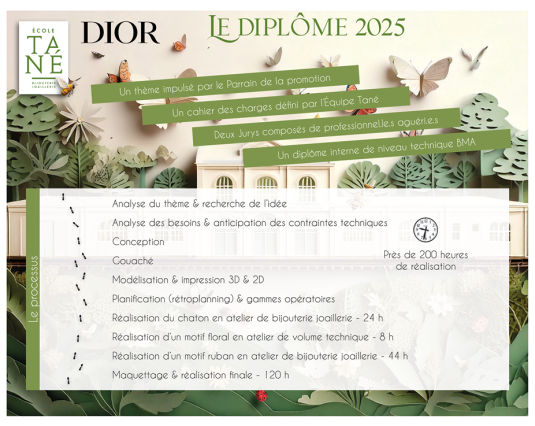 Infographie diplôme 20251B