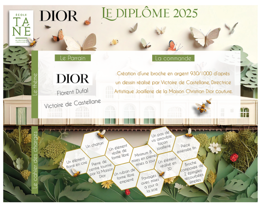 Infographie diplôme 20252B