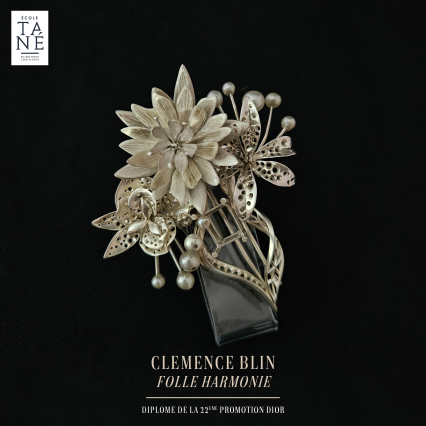 Publication des pièces sur réseaux 04