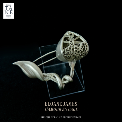 Publication des pièces sur réseaux 06