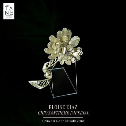 Publication des pièces sur réseaux 07