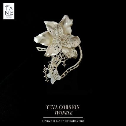 Publication des pièces sur réseaux 13