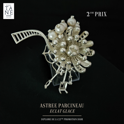 Publication des pièces sur réseaux 15