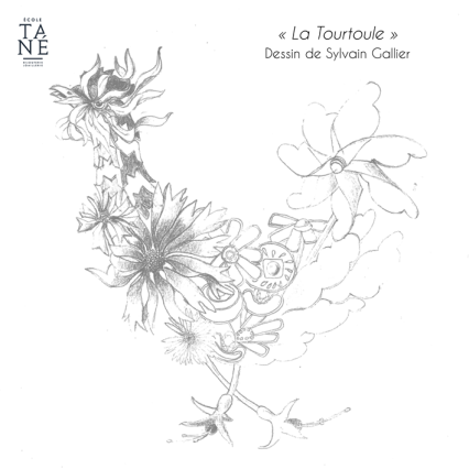 Publication Tourtoules4