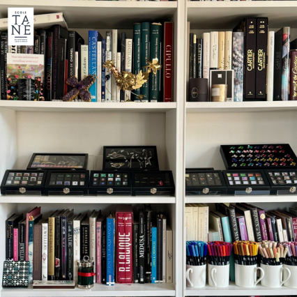 Publication Tourtoules7